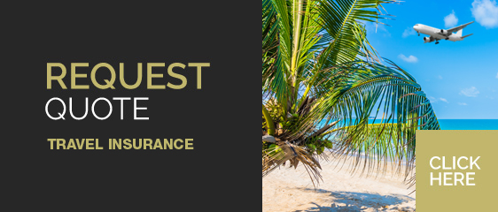 Request a Quote for Single Vehicle